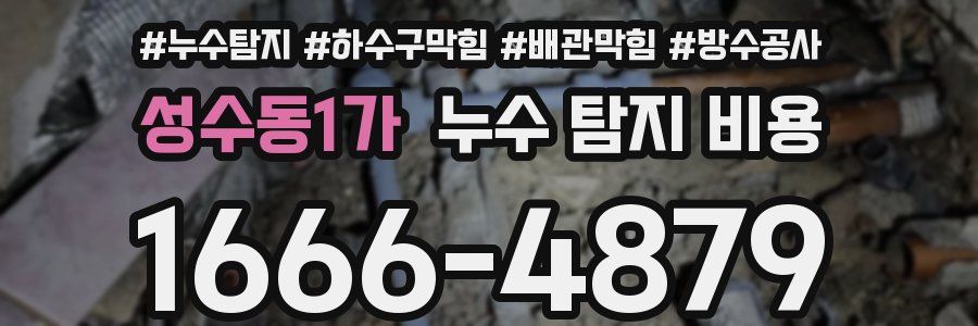 성수동1가 누수 탐지 비용