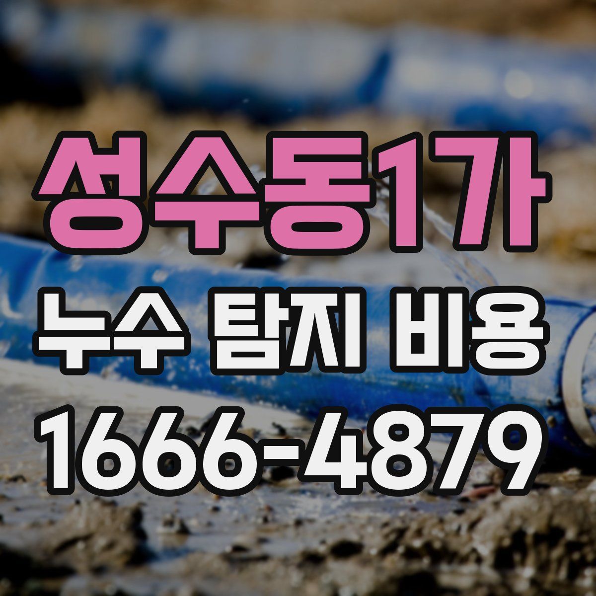 성수동1가 누수 탐지 비용