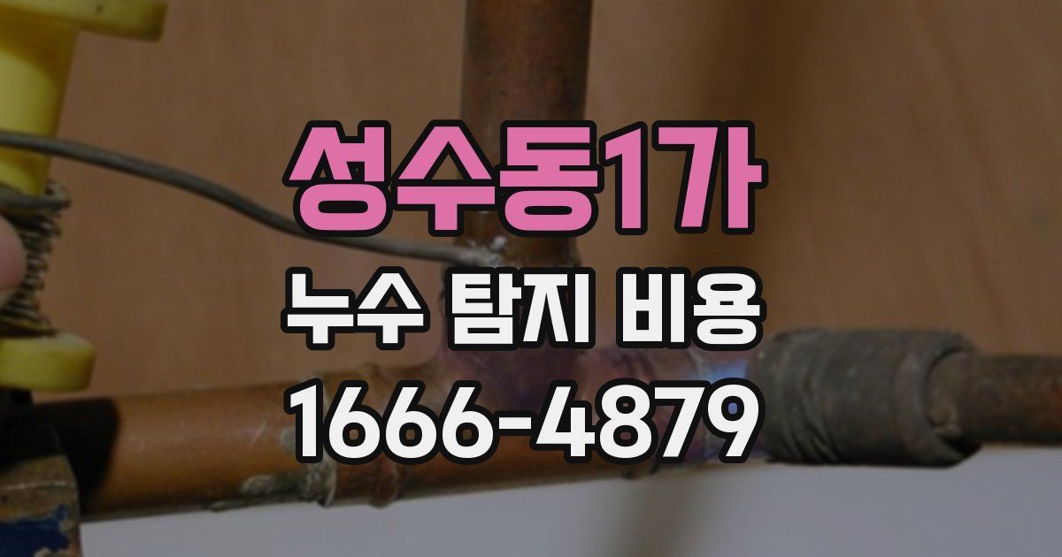 성수동1가 누수 탐지 비용