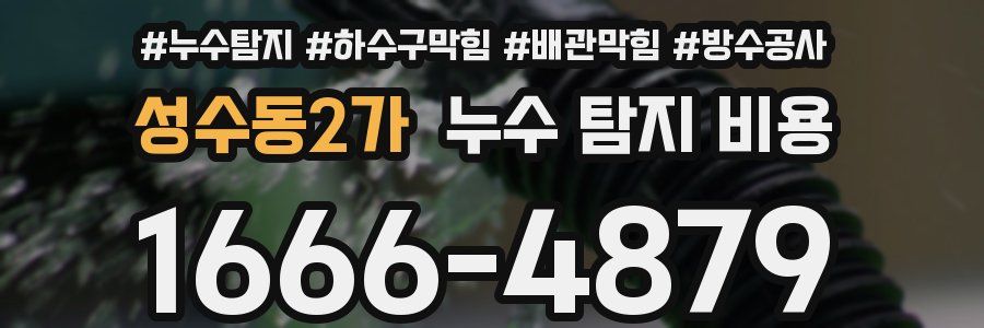 성수동2가 누수 탐지 비용