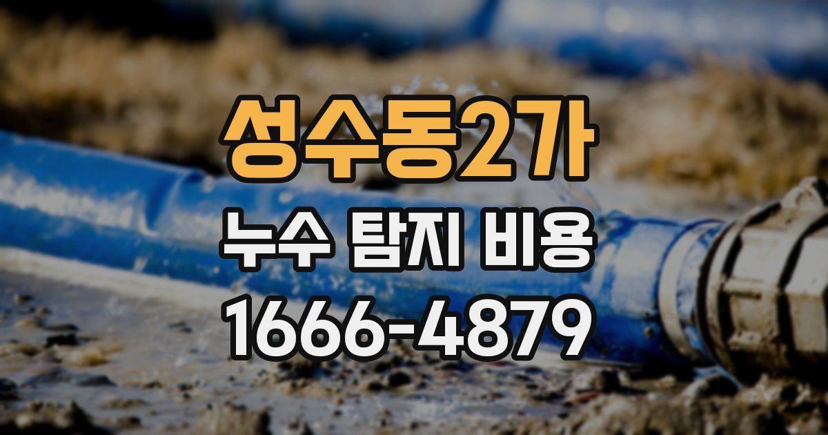 성수동2가 누수 탐지 비용