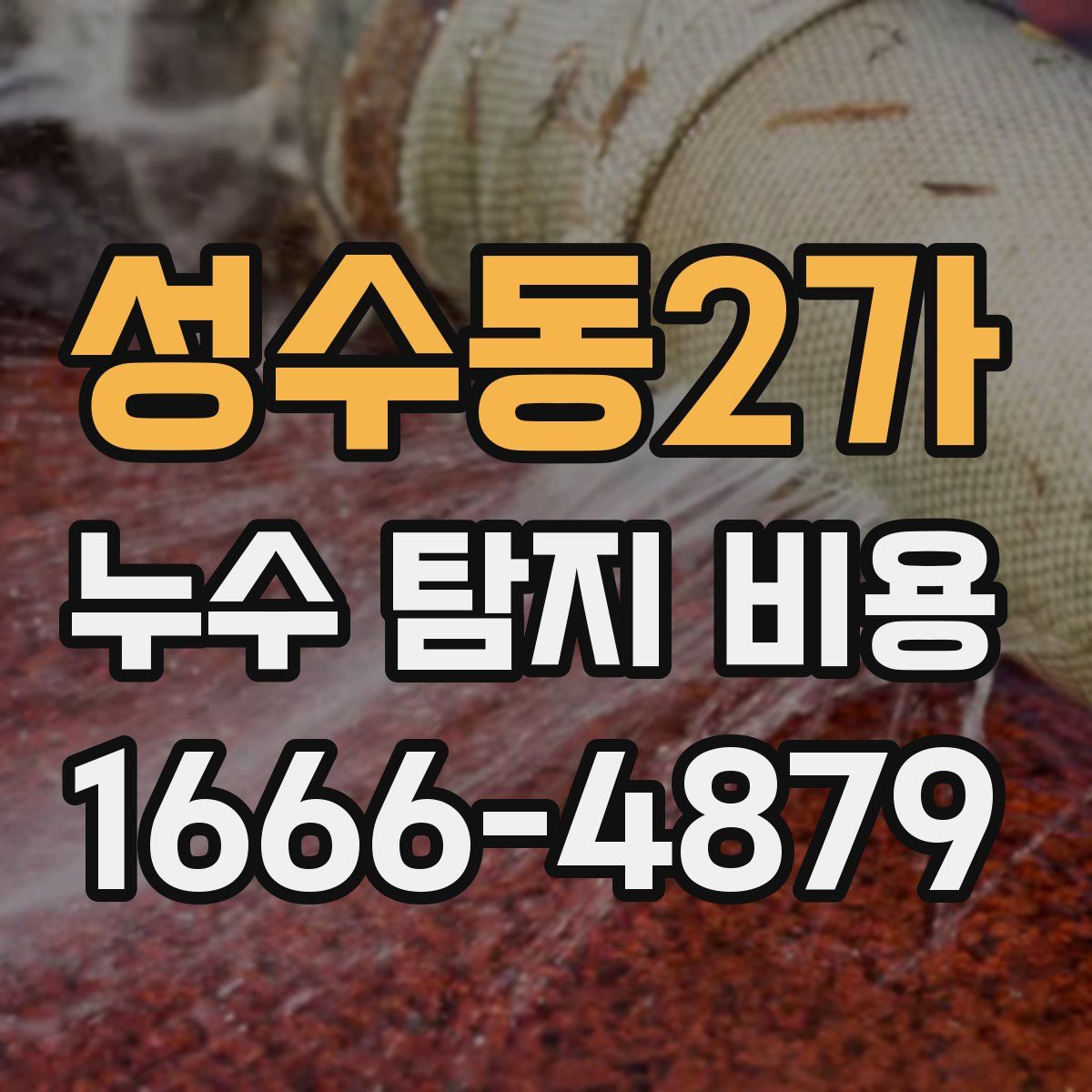 성수동2가 누수 탐지 비용