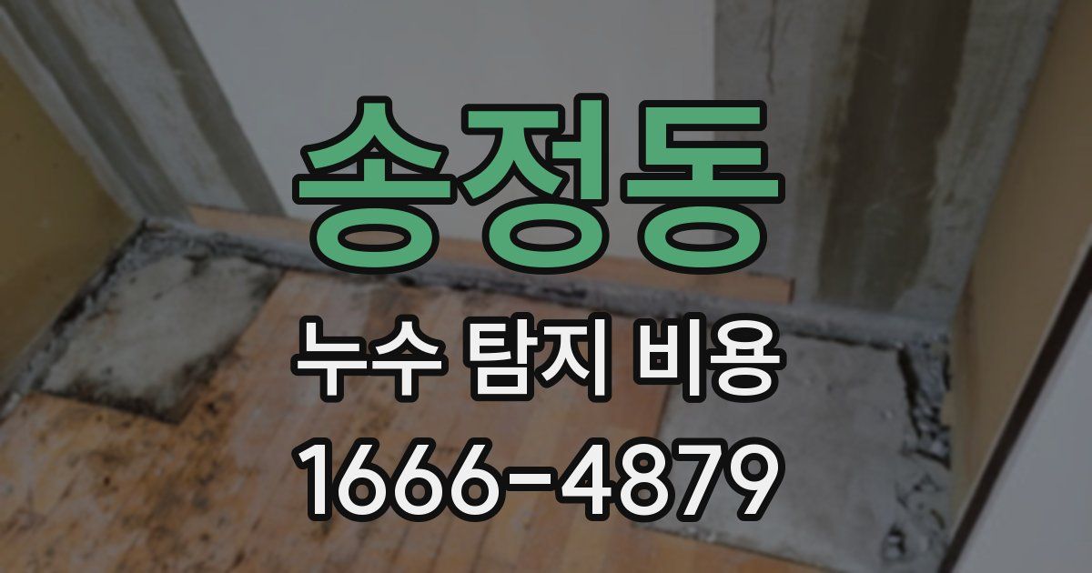 송정동 누수 탐지 비용