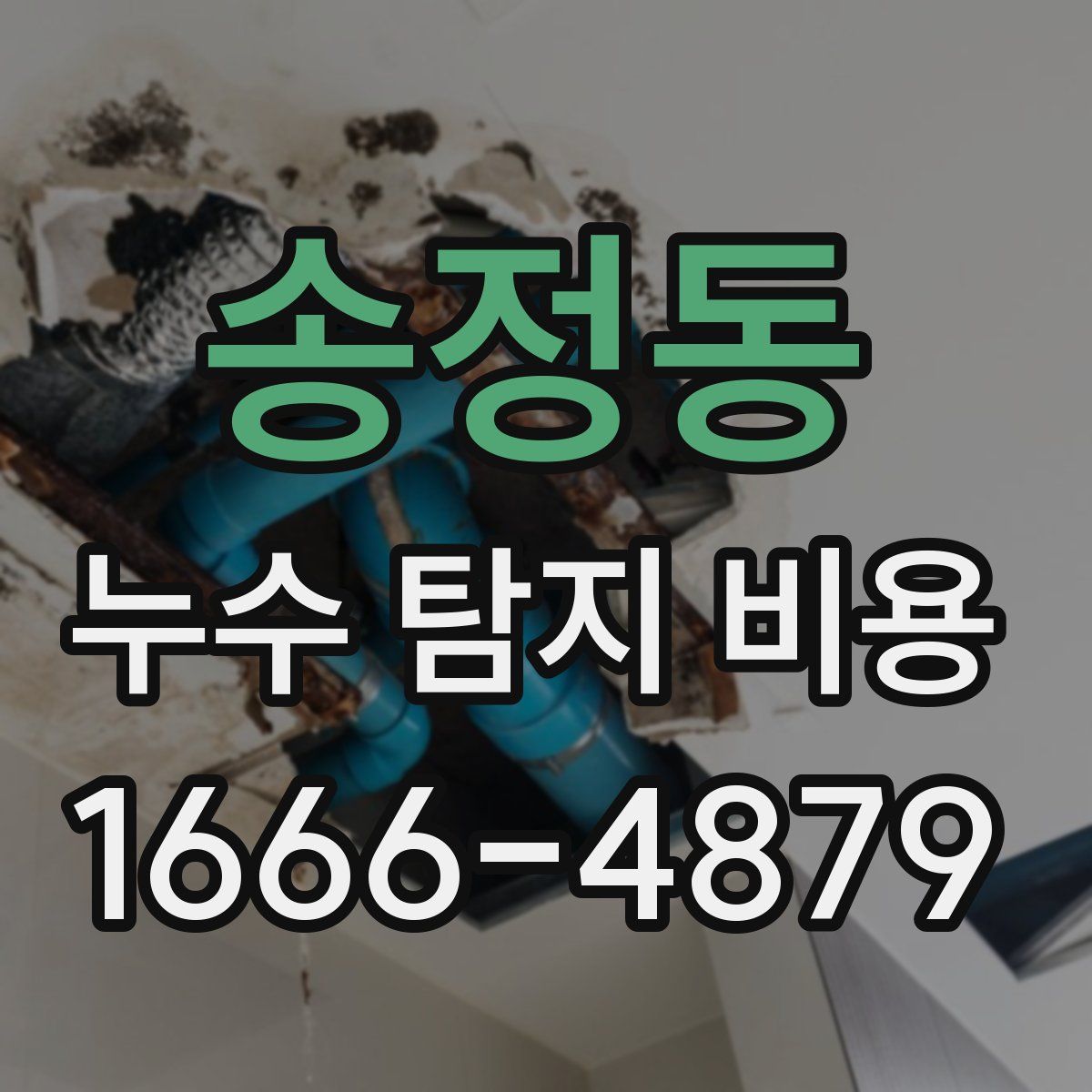 송정동 누수 탐지 비용