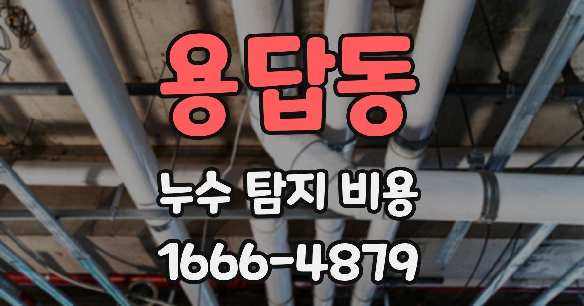 용답동 누수 탐지 비용