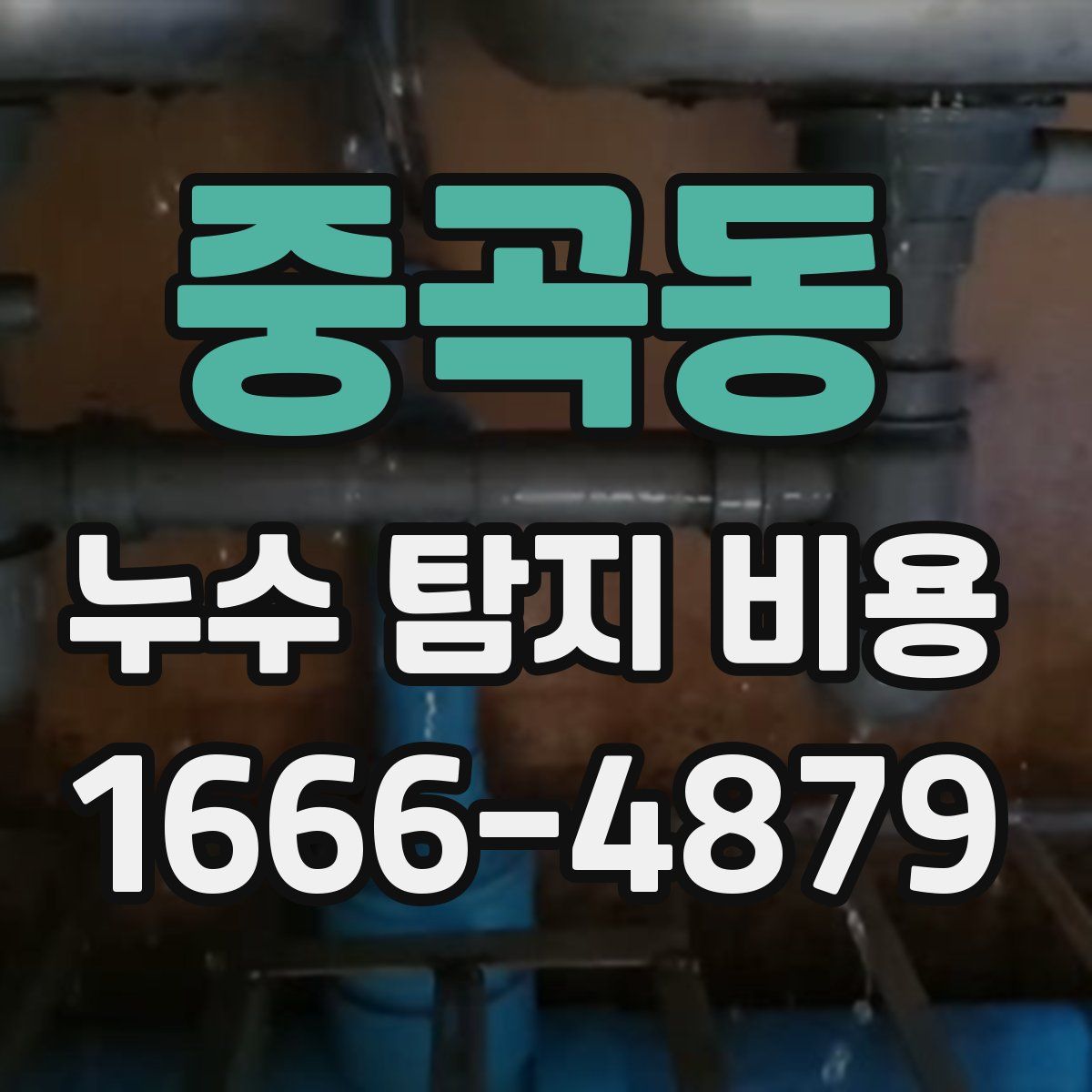 중곡동 누수 탐지 비용
