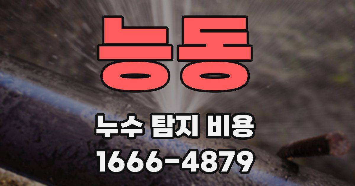 능동 누수 탐지 비용