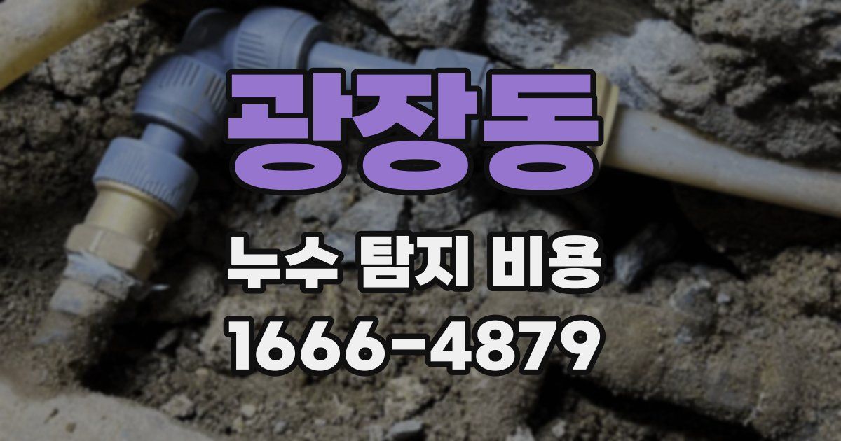 광장동 누수 탐지 비용