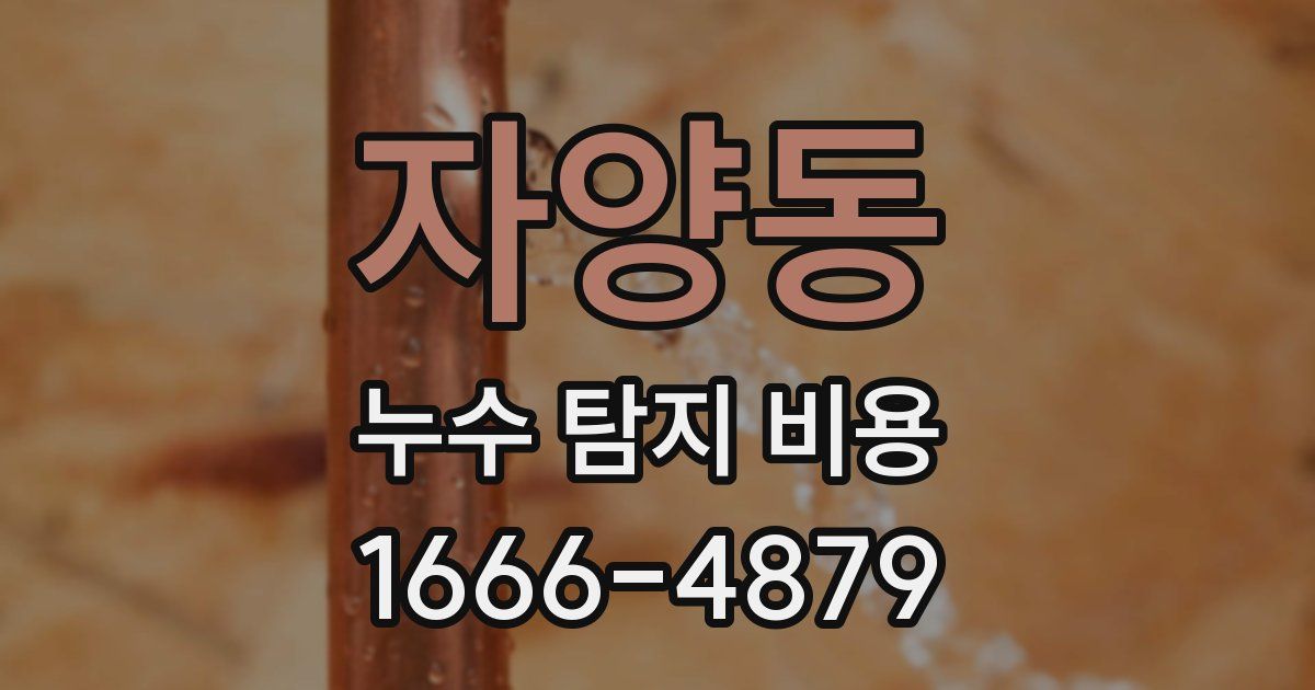 자양동 누수 탐지 비용