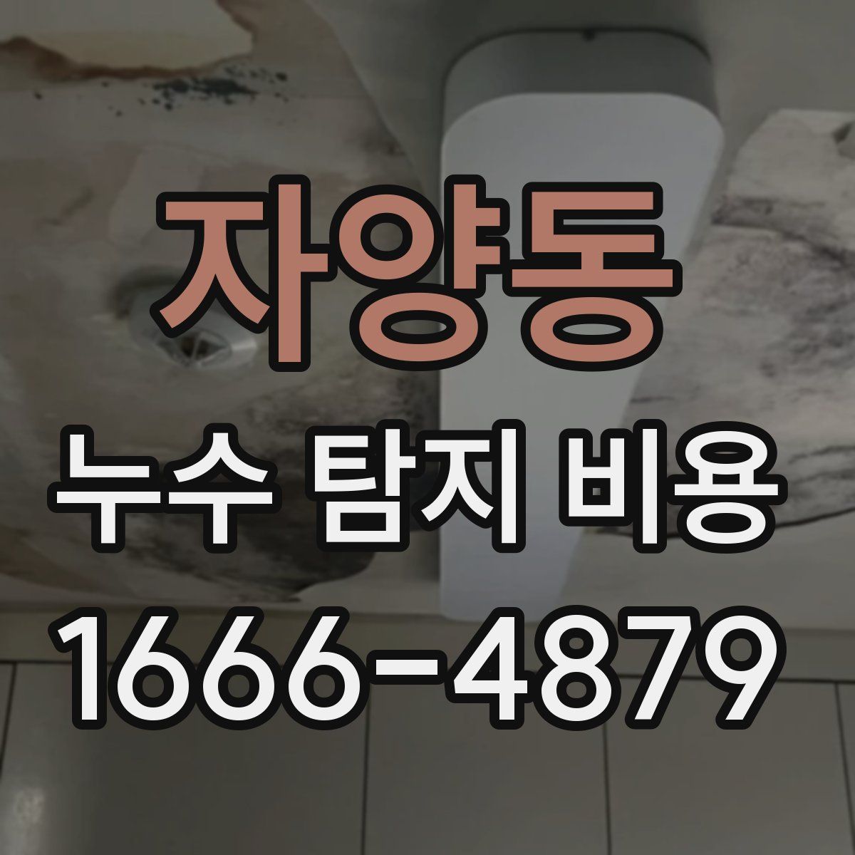 자양동 누수 탐지 비용