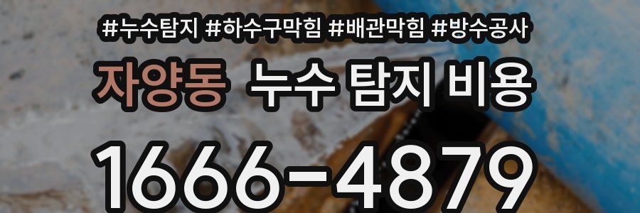 자양동 누수 탐지 비용