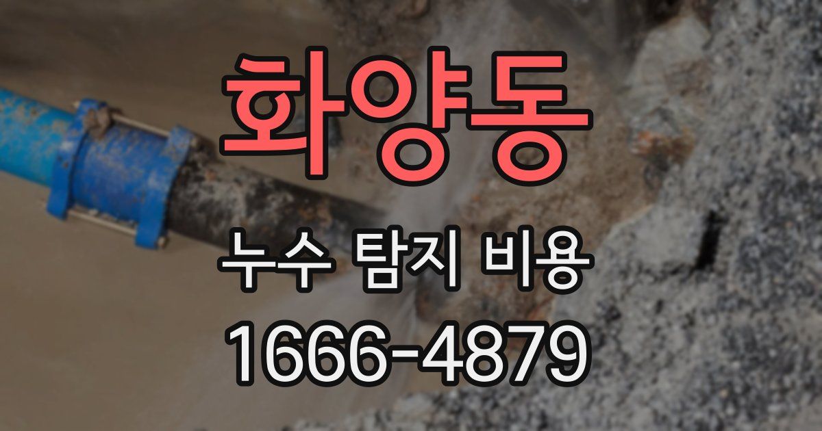 화양동 누수 탐지 비용