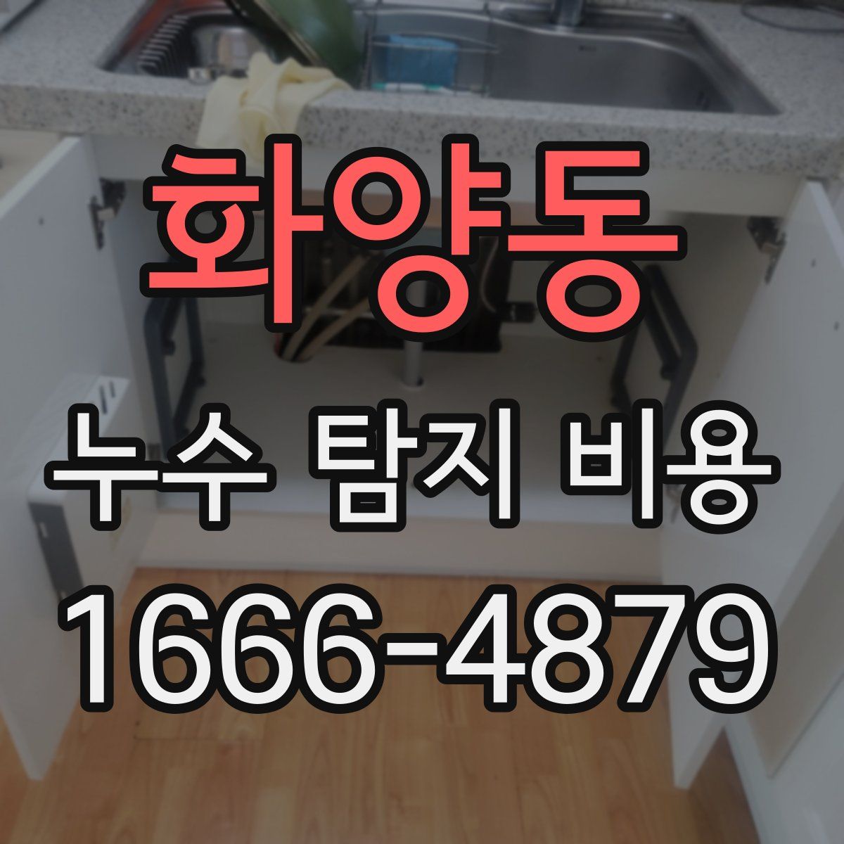 화양동 누수 탐지 비용