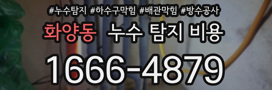 화양동 누수 탐지 비용