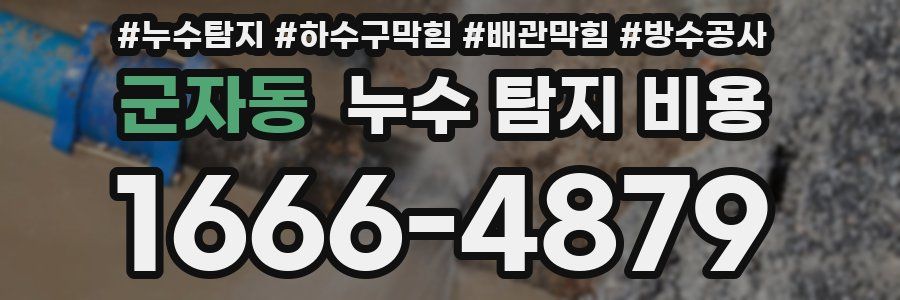 군자동 누수 탐지 비용