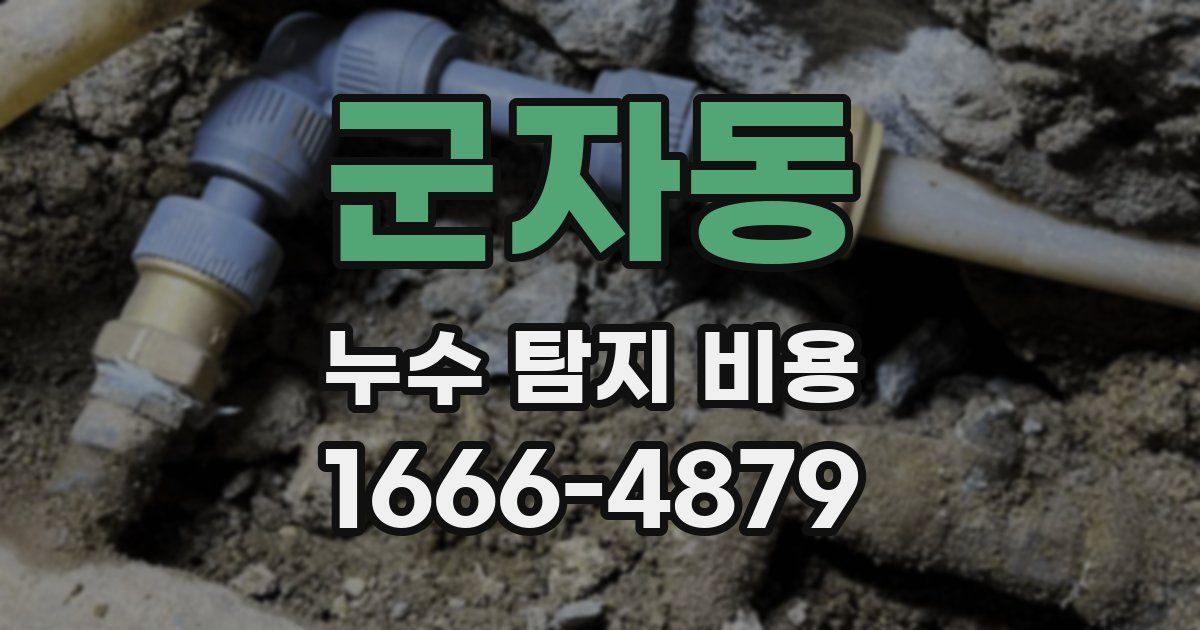 군자동 누수 탐지 비용