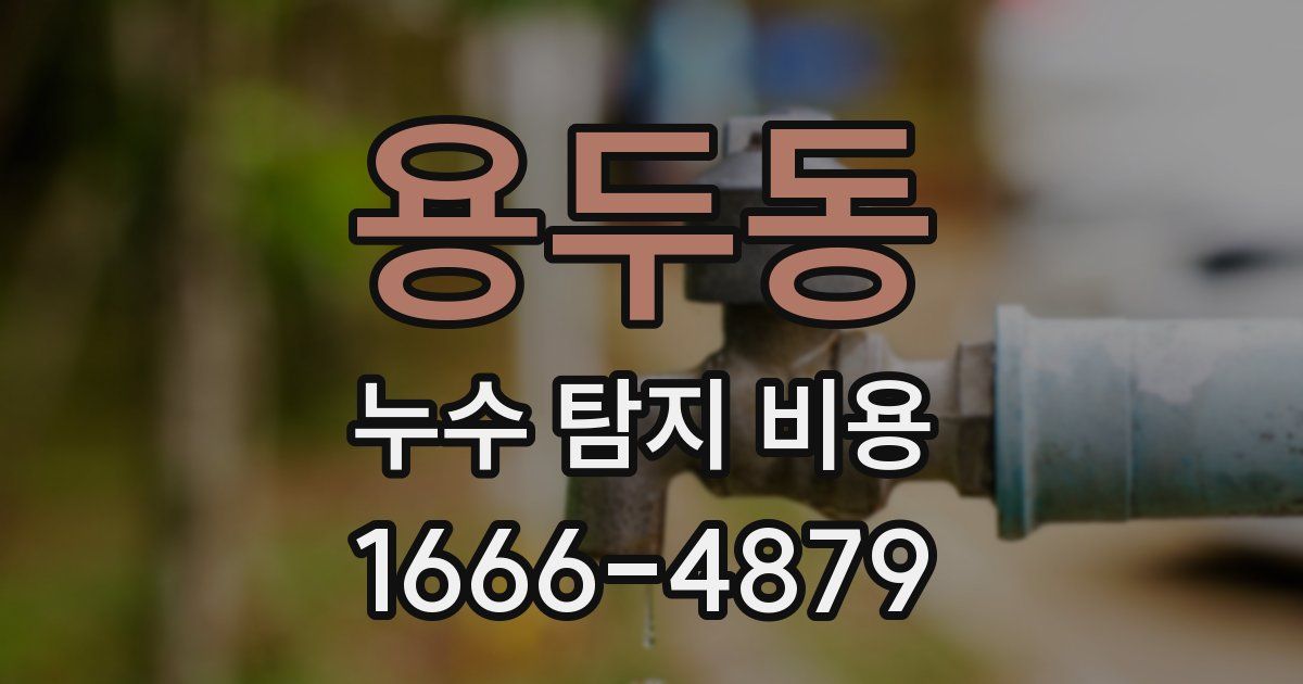용두동 누수 탐지 비용