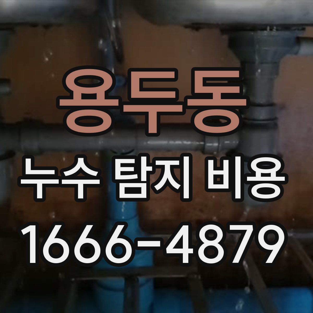 용두동 누수 탐지 비용