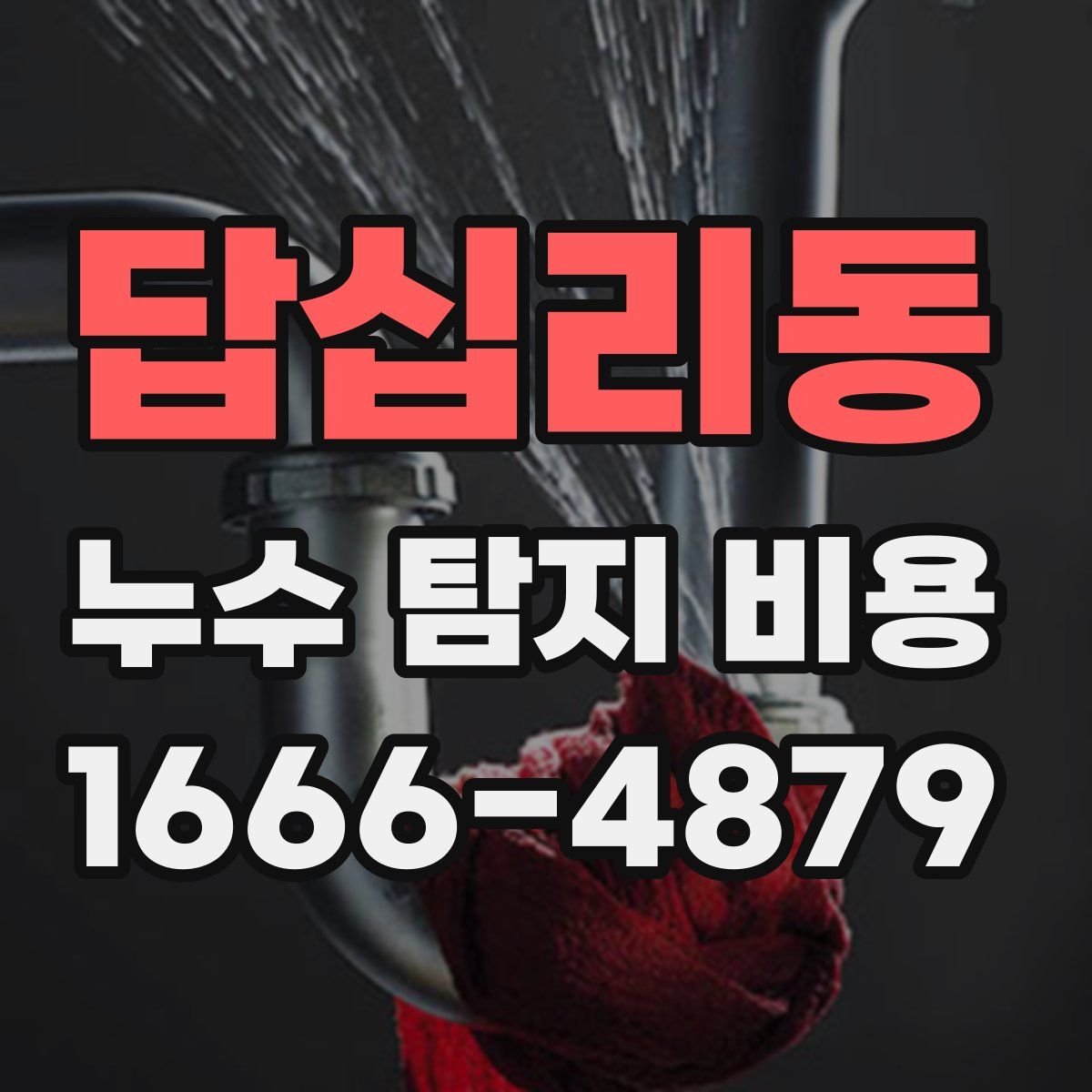 답십리동 누수 탐지 비용