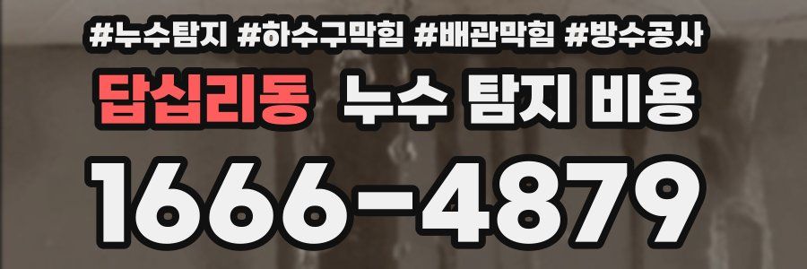 답십리동 누수 탐지 비용