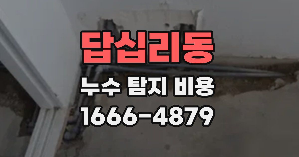 답십리동 누수 탐지 비용