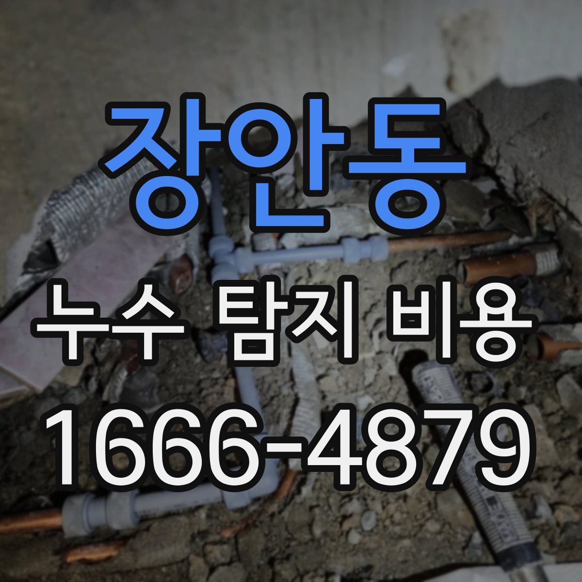 장안동 누수 탐지 비용