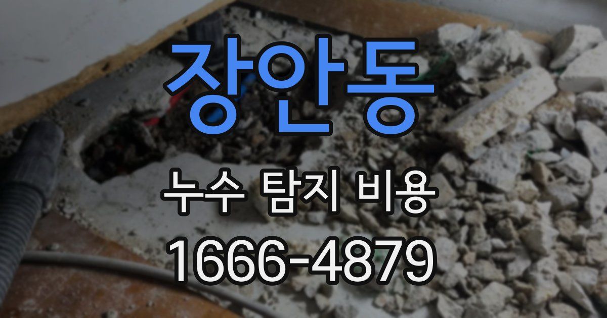 장안동 누수 탐지 비용