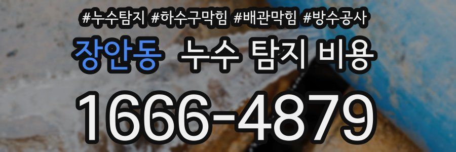 장안동 누수 탐지 비용