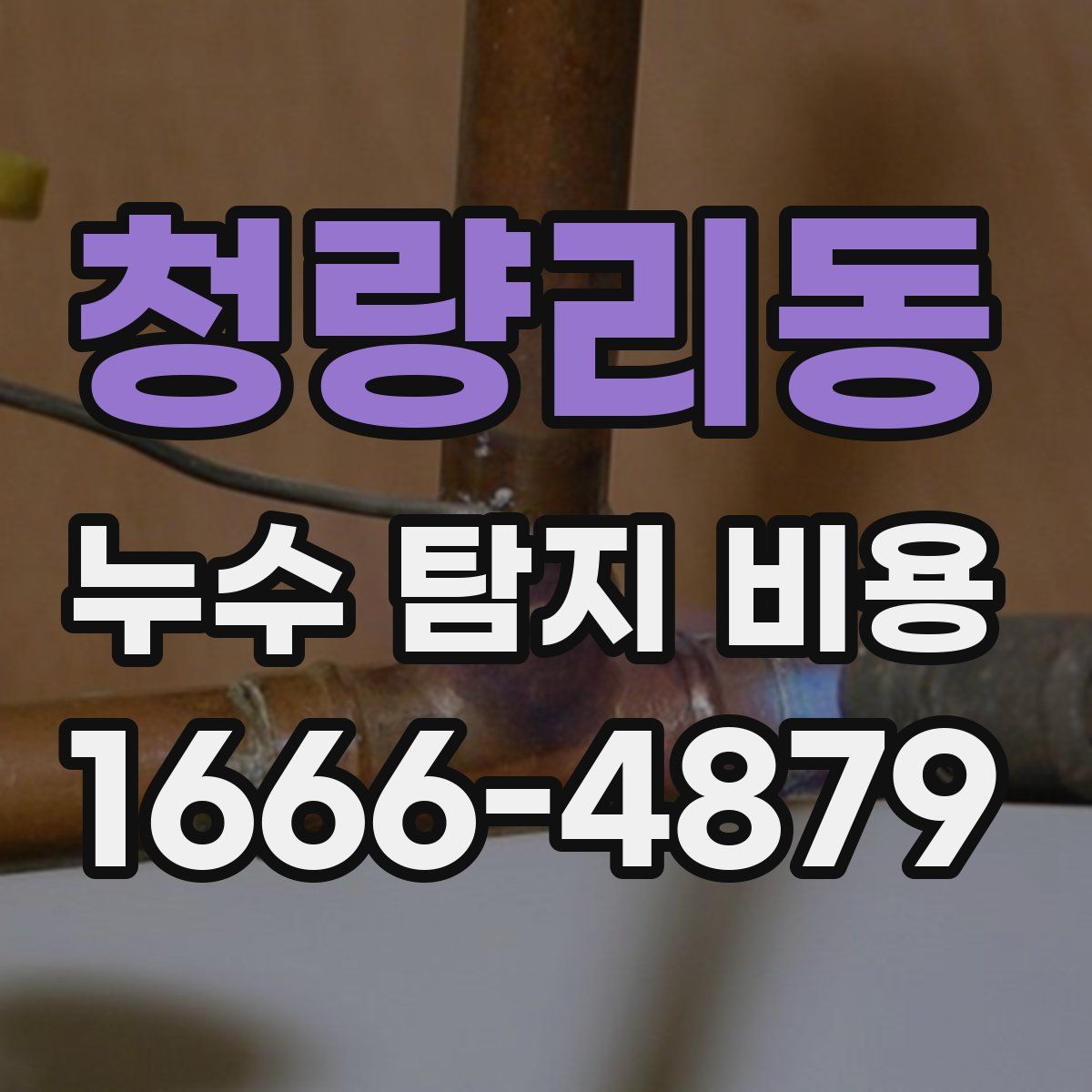 청량리동 누수 탐지 비용