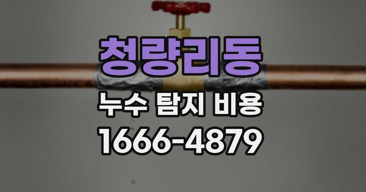 청량리동 누수 탐지 비용