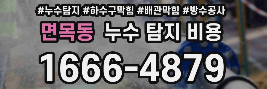 면목동 누수 탐지 비용