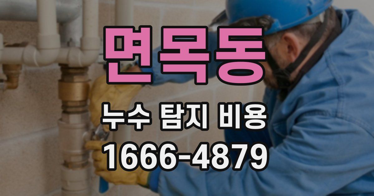 면목동 누수 탐지 비용
