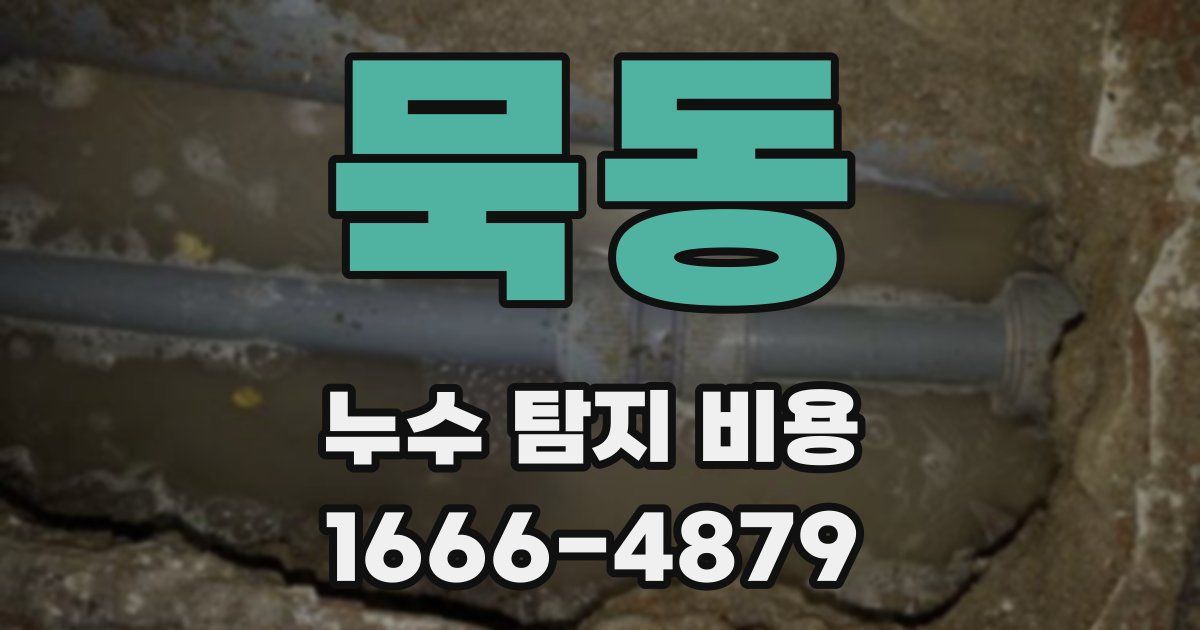 묵동 누수 탐지 비용
