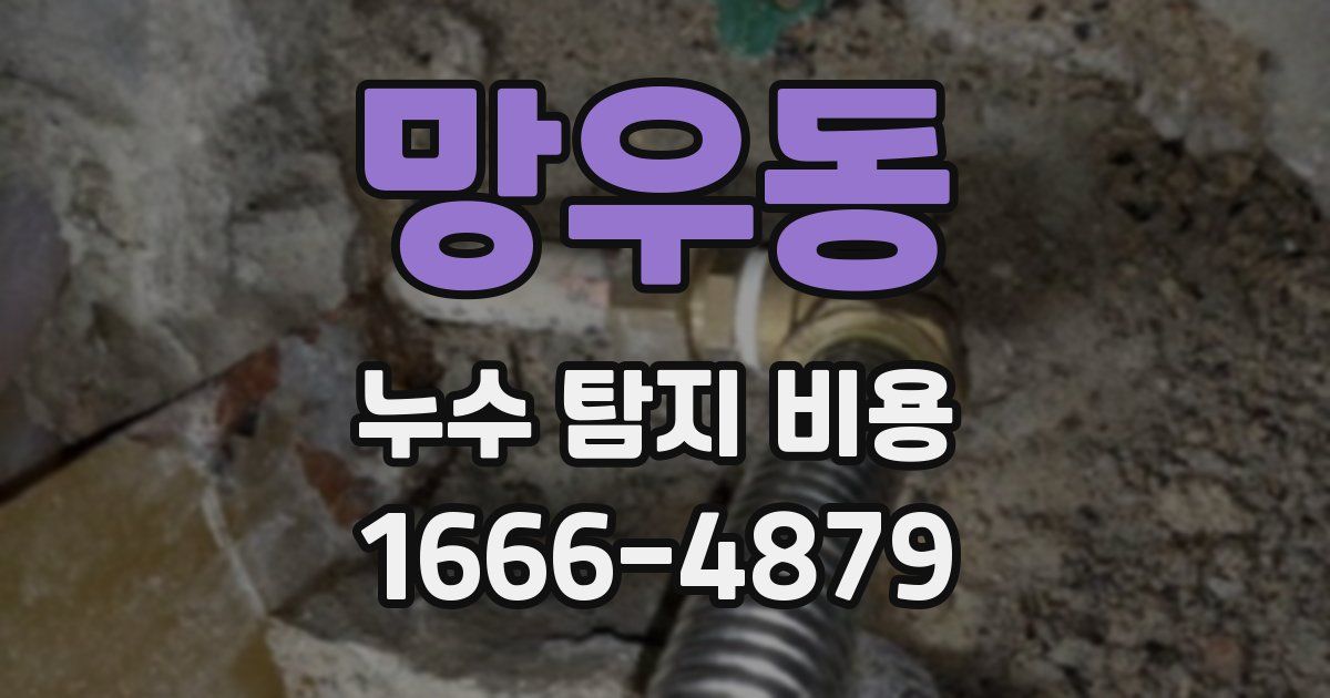 망우동 누수 탐지 비용