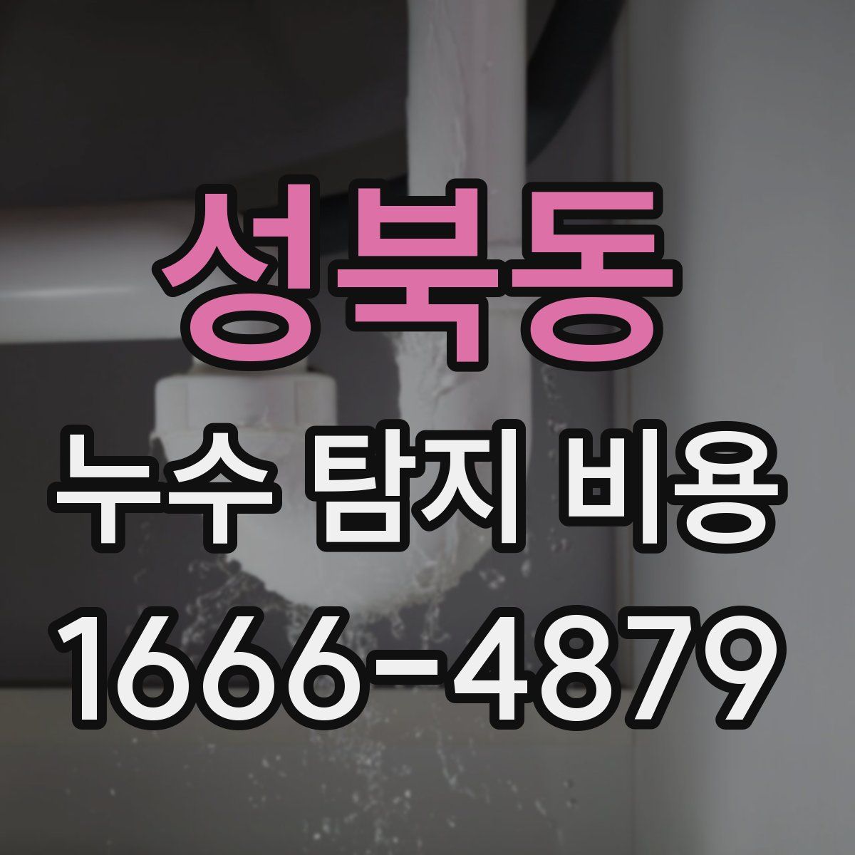 성북동 누수 탐지 비용