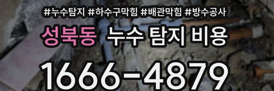 성북동 누수 탐지 비용