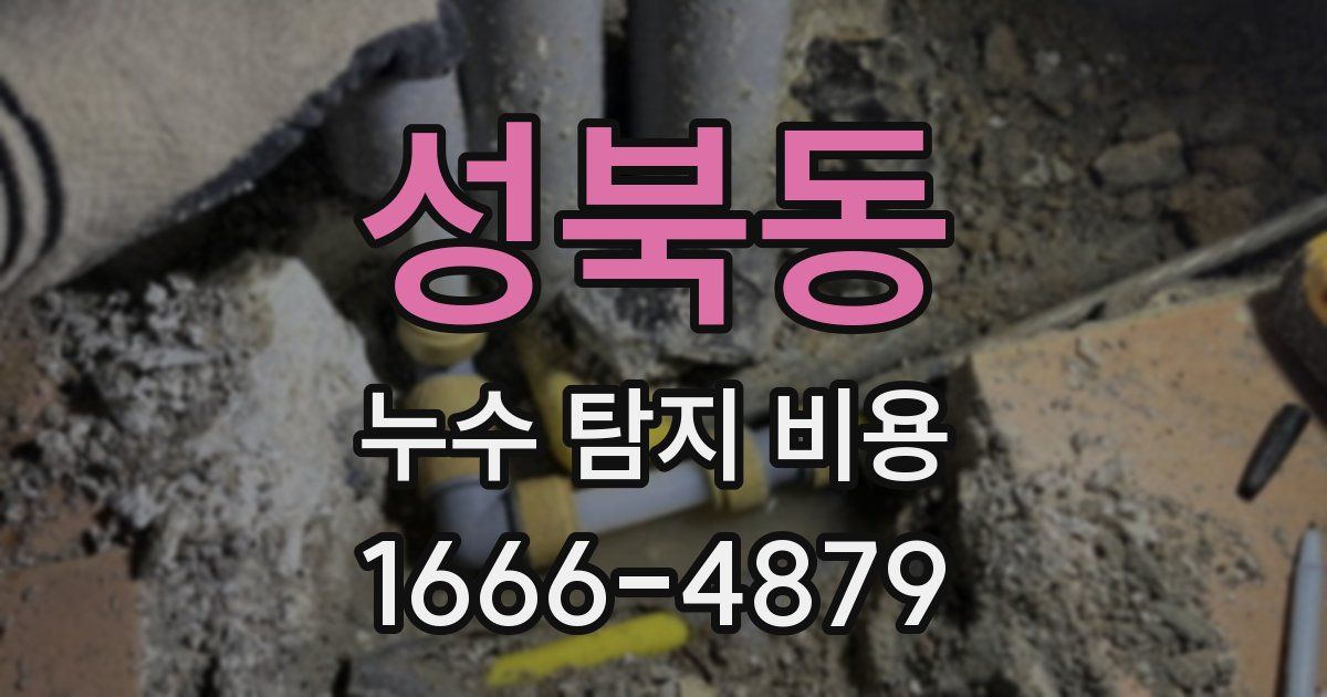 성북동 누수 탐지 비용