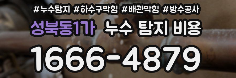 성북동1가 누수 탐지 비용