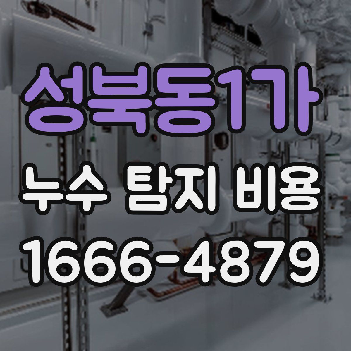 성북동1가 누수 탐지 비용