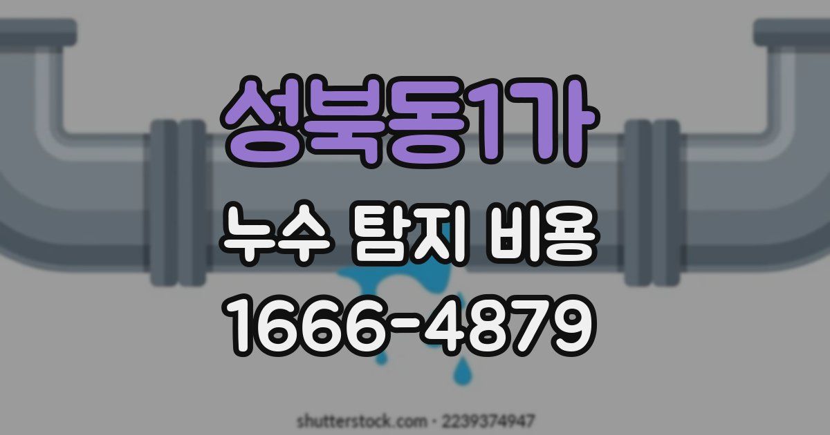 성북동1가 누수 탐지 비용
