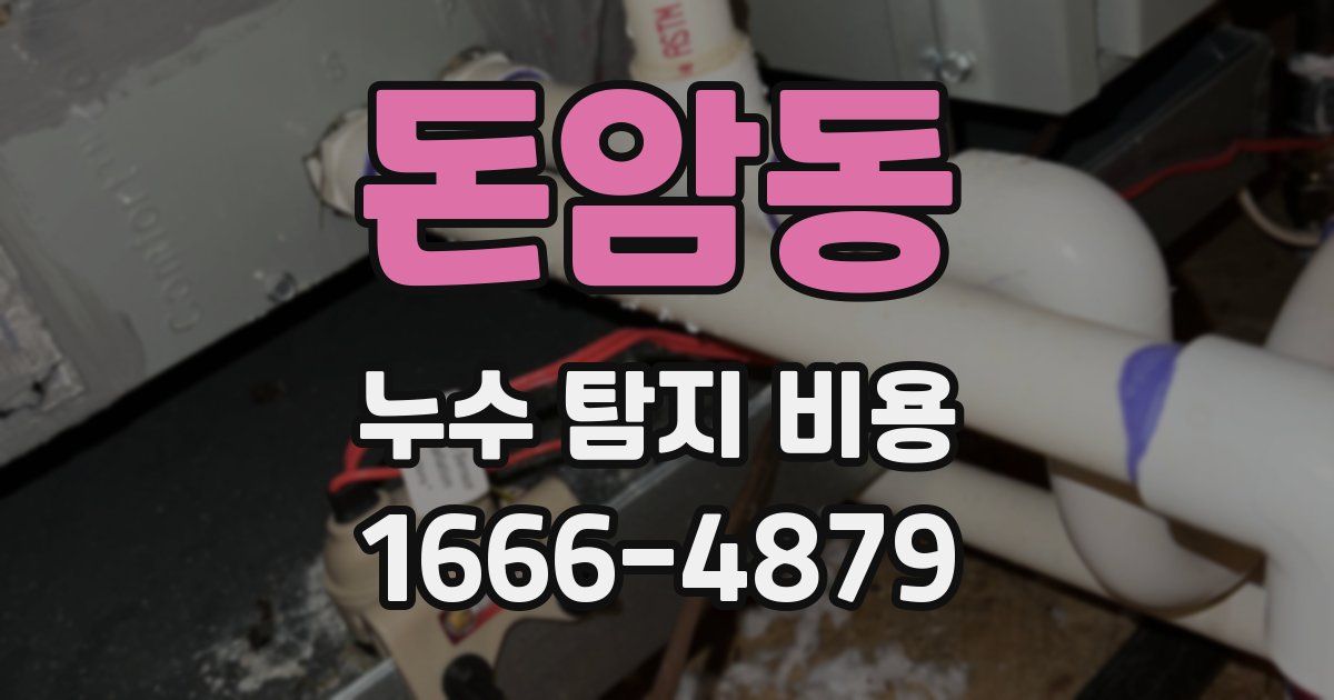 돈암동 누수 탐지 비용