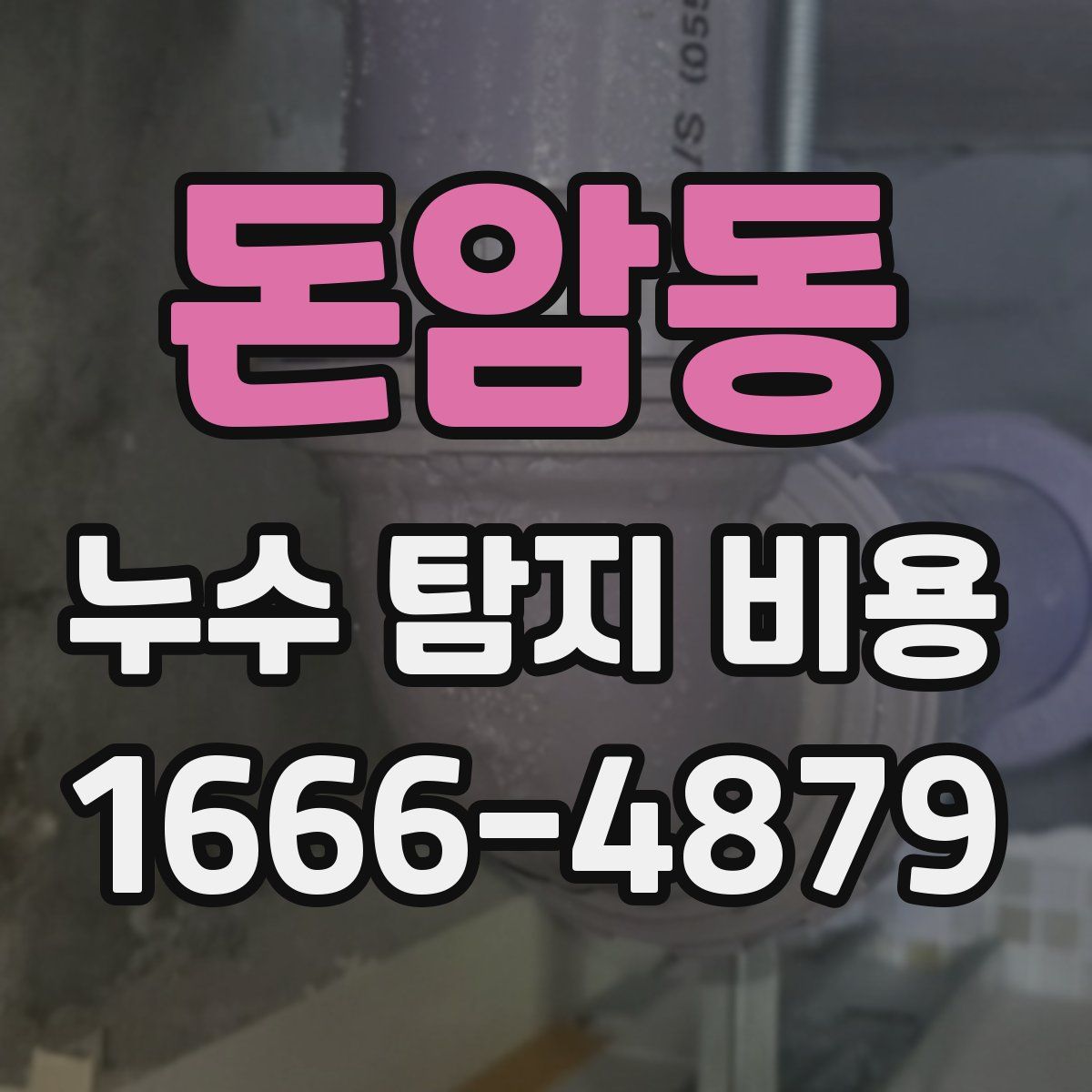 돈암동 누수 탐지 비용