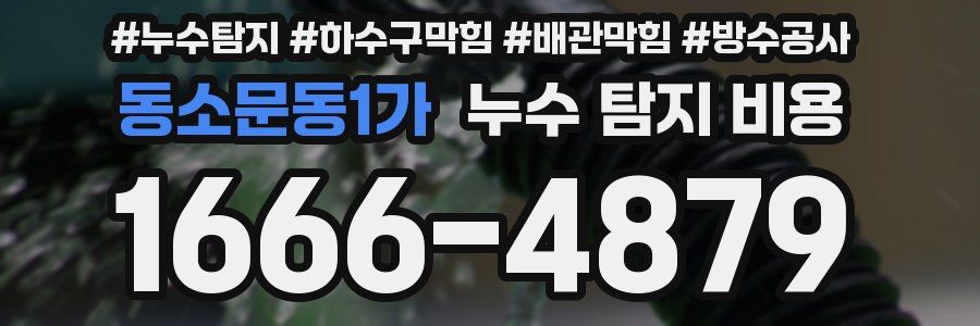 동소문동1가 누수 탐지 비용
