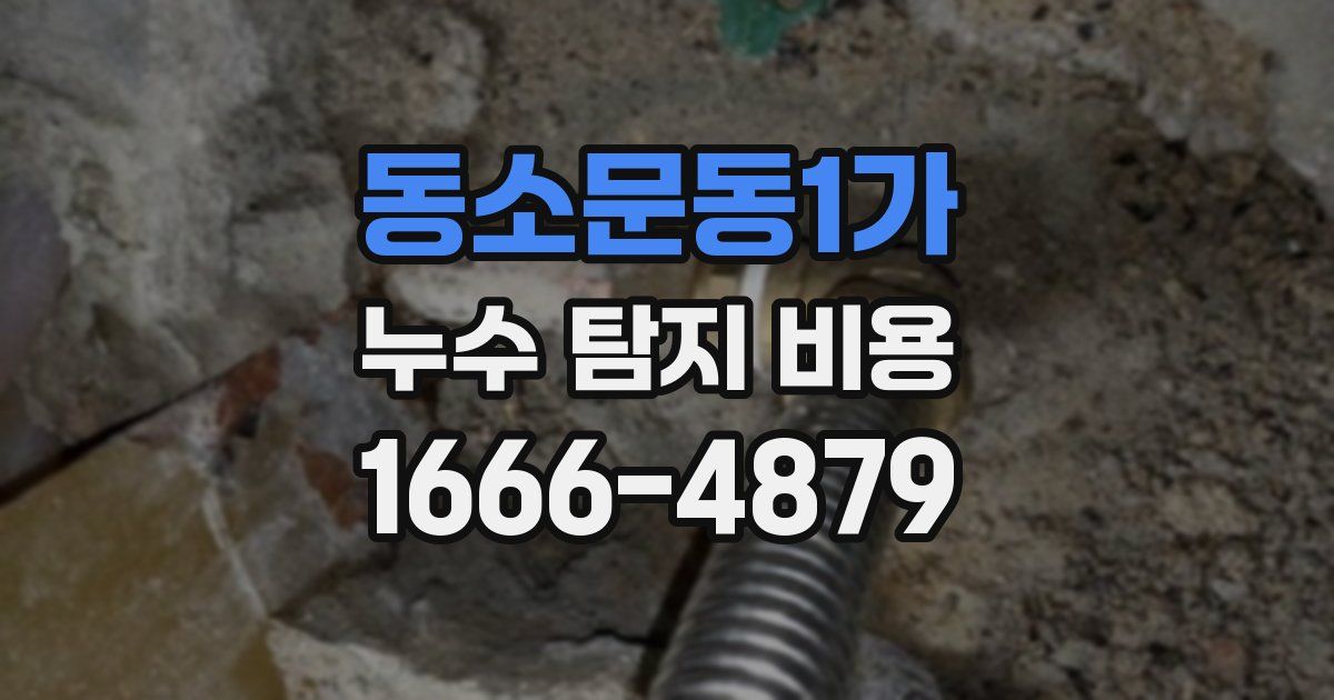동소문동1가 누수 탐지 비용