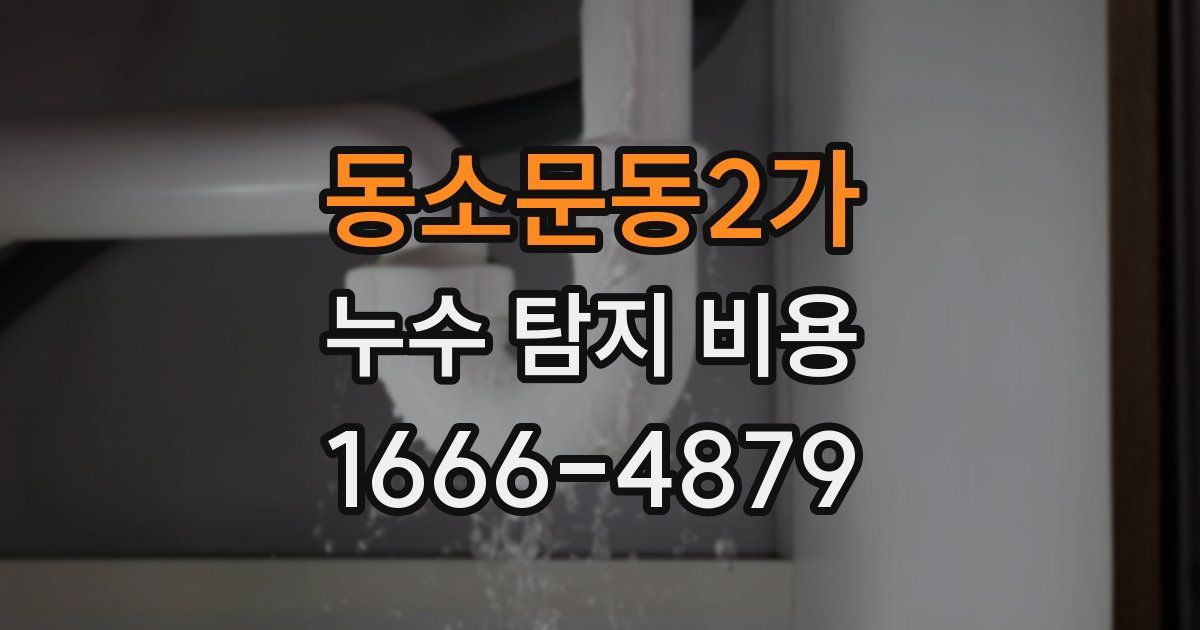 동소문동2가 누수 탐지 비용