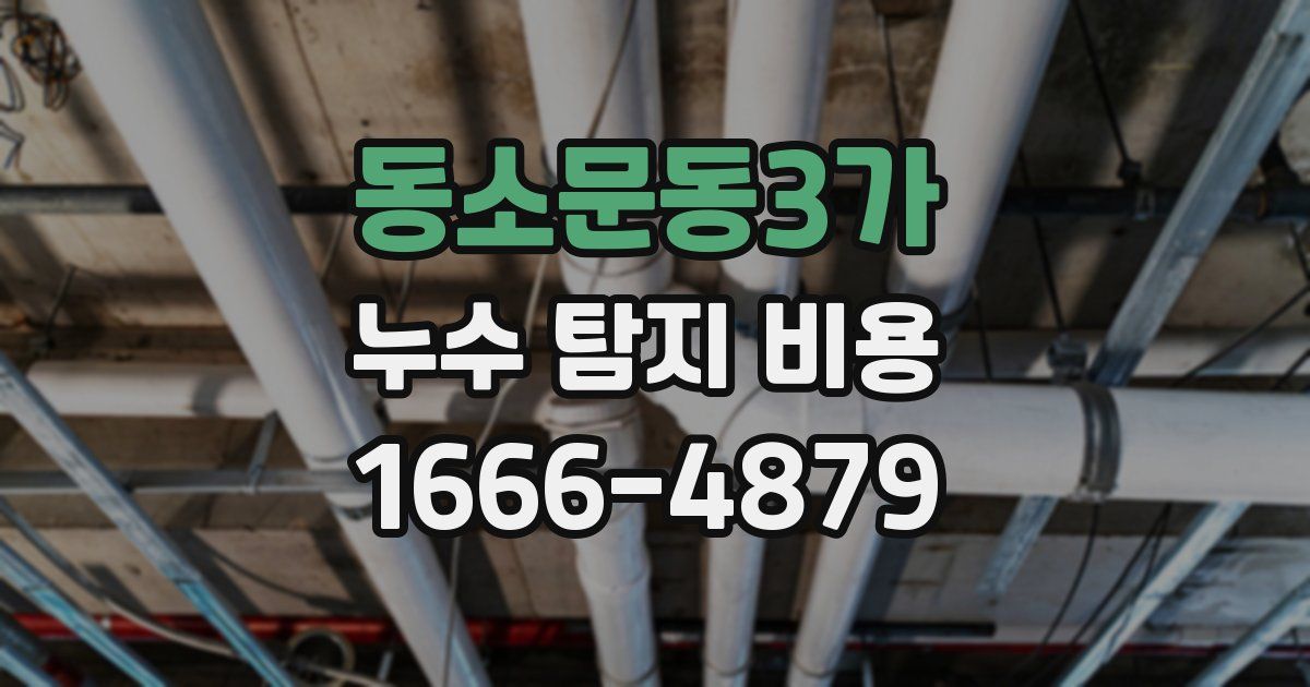 동소문동3가 누수 탐지 비용