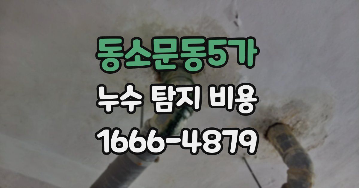 동소문동5가 누수 탐지 비용
