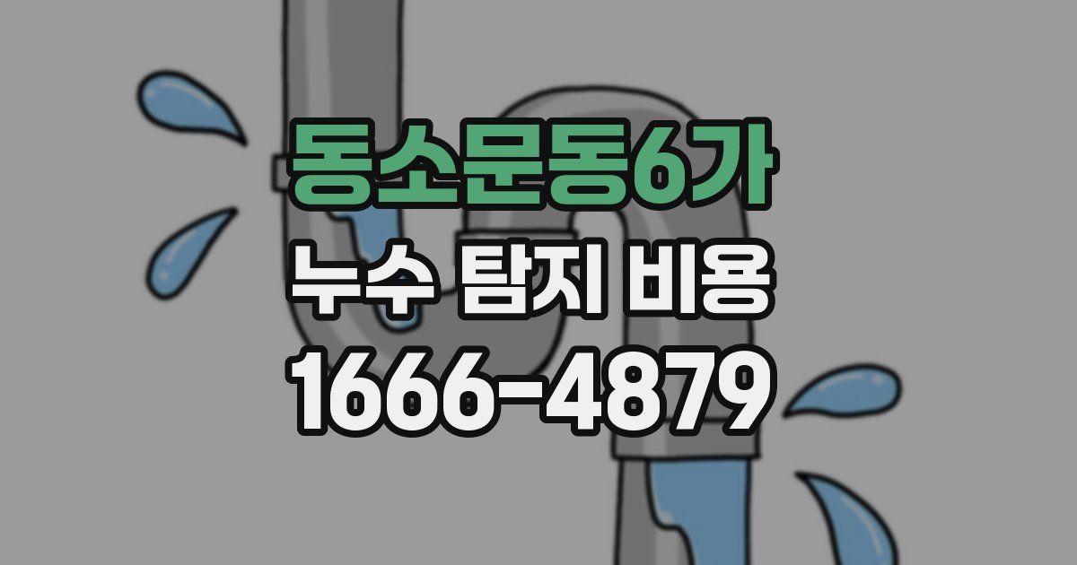 동소문동6가 누수 탐지 비용