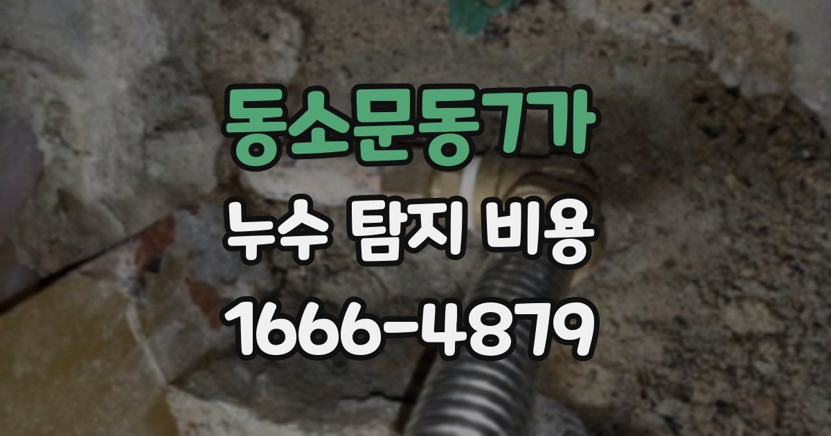 동소문동7가 누수 탐지 비용