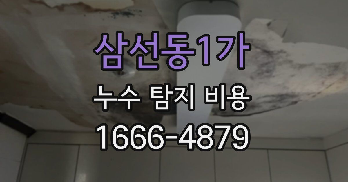 삼선동1가 누수 탐지 비용